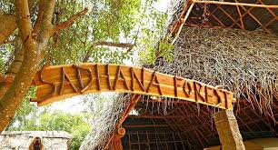 Sadhana Forest Auroville