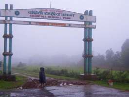 Chandoli National Park Entry