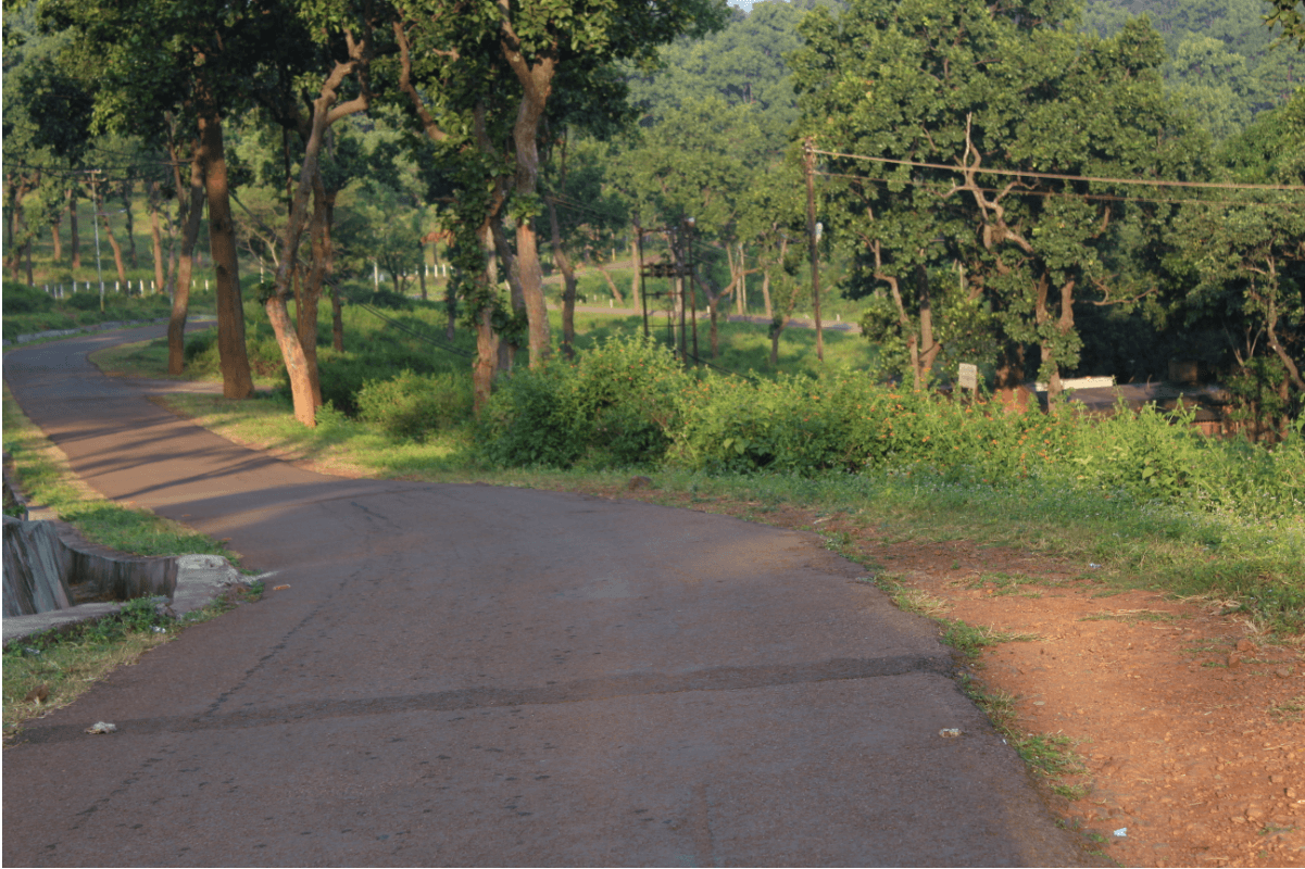 Sarandha forest Jharkand