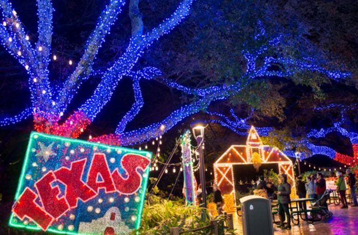 houston zoo at night