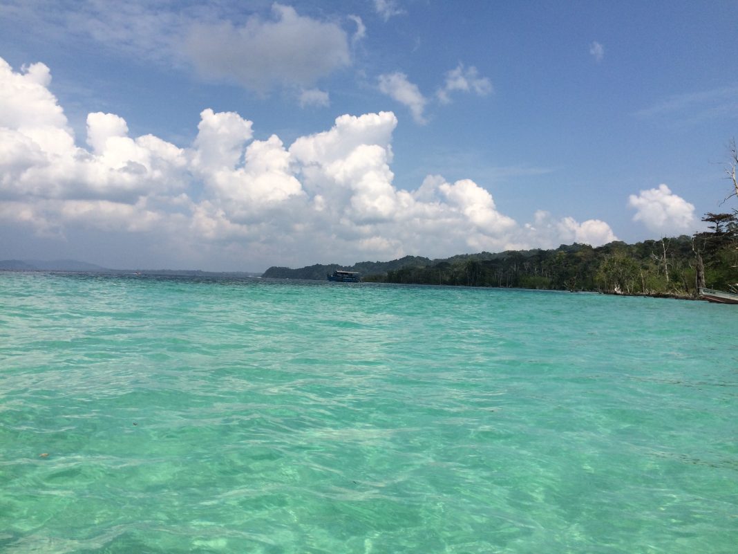 Havelock Island