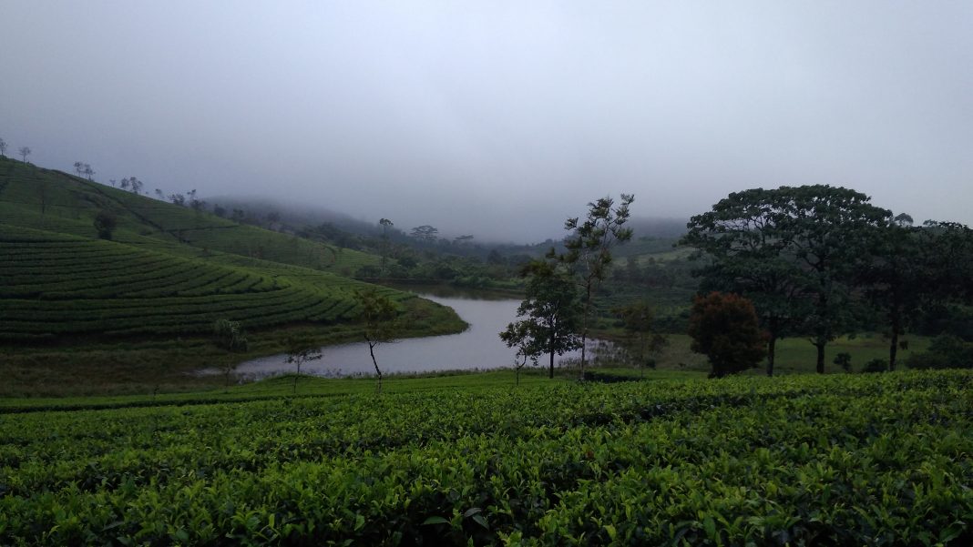 idukki in june