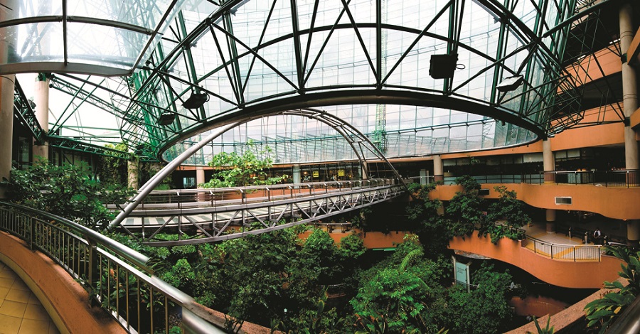 rainforest in 1 utama